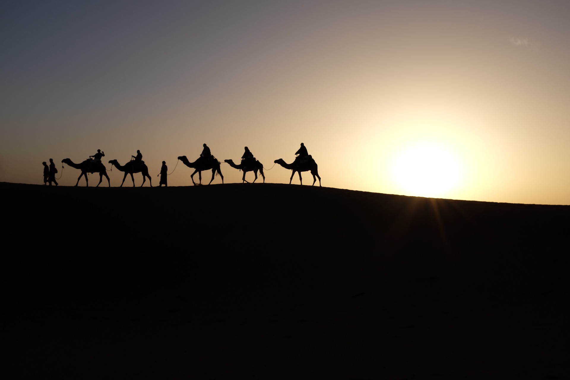camels_desert_wes_schaeffer_from_todays_reading