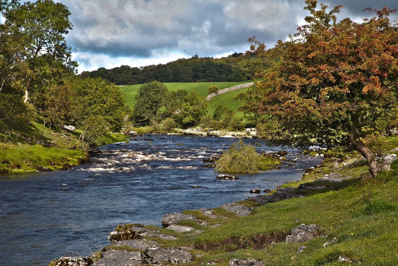 The flowing river of God's Good News makes everything wholesome from today's reading with Wes Schaeffer.