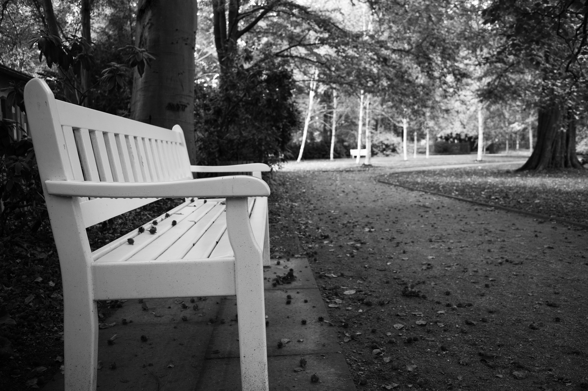 park-bench-shade-wes_schaeffer_from_todays_reading